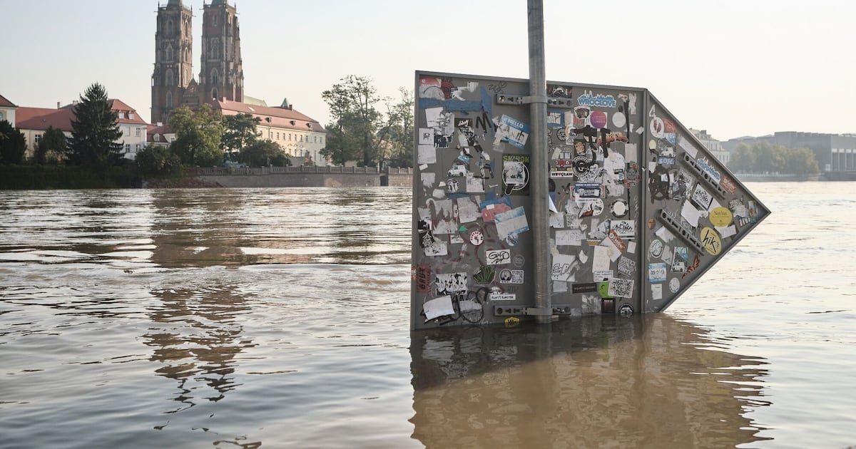 European Central Bank Strategy for Addressing Climate Risk in Finance