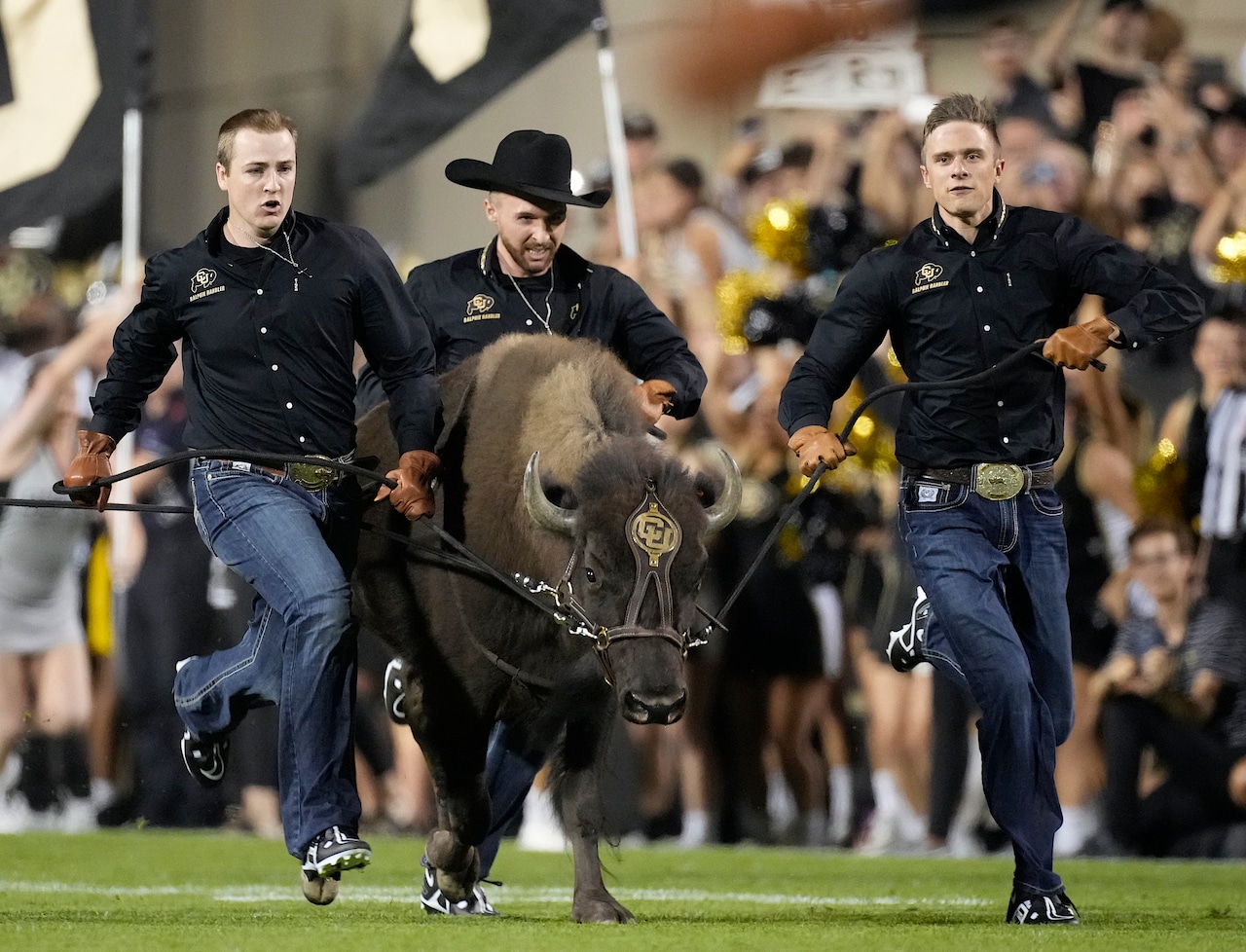 Exciting Start to College Football Season: Colorado Buffaloes vs. North Dakota State Bison