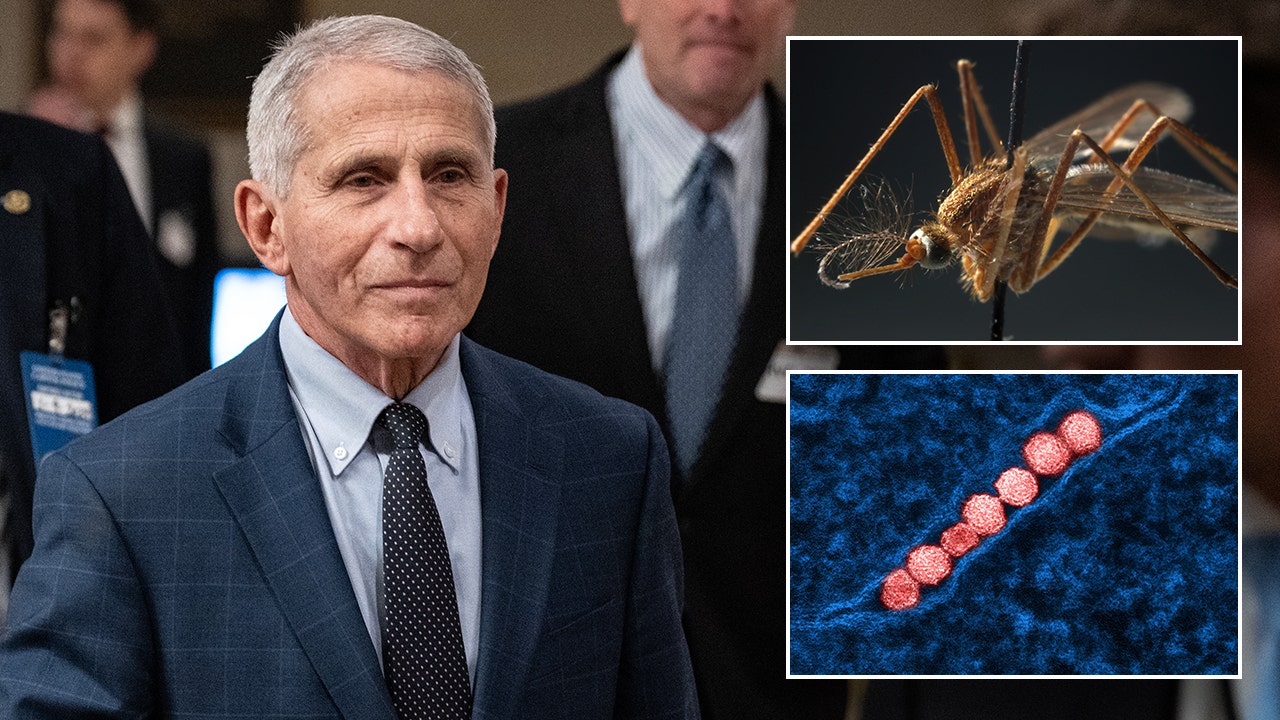 Anthony Fauci's Battle: Tips for Wellness and Recovery from West Nile Virus