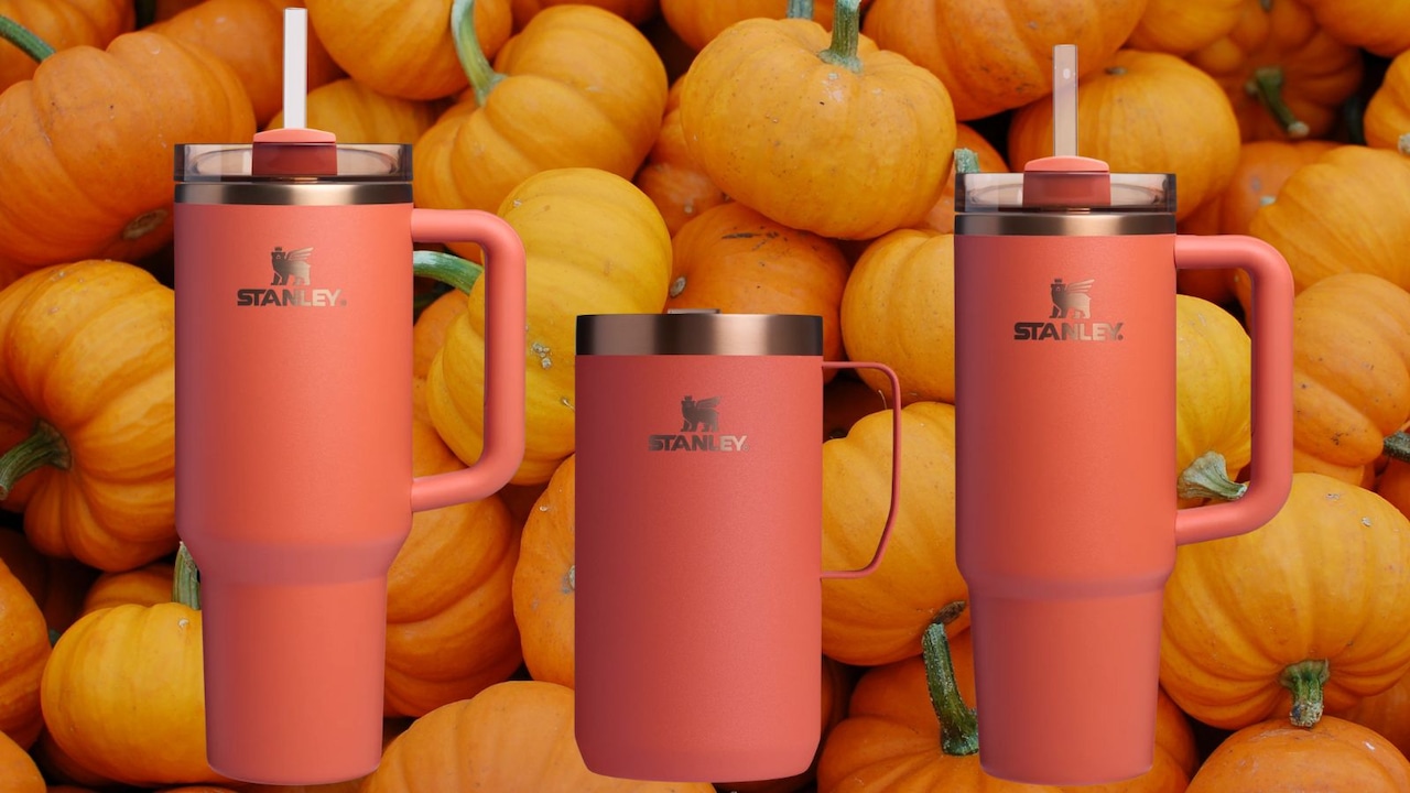 Stanley Pumpkin Spice Collection: Market Insights and Investment Strategies