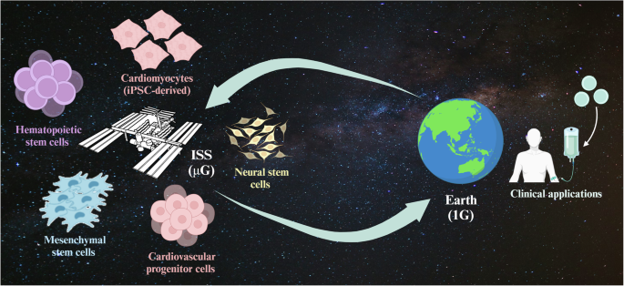 NASA Breakthrough: Unlocking the Potential of Space for Cancer Research