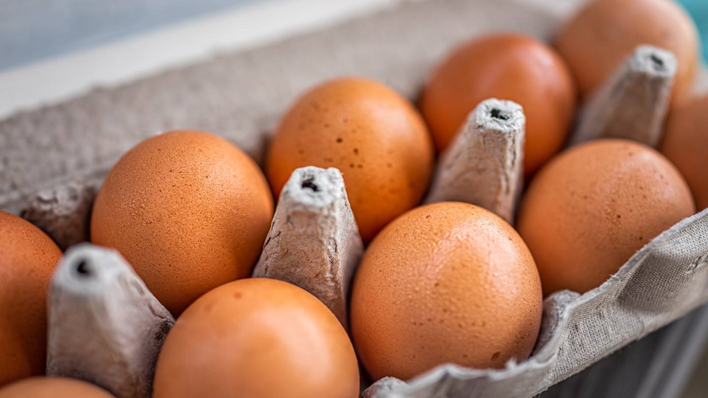 Salmonella Outbreak Insights: Market Strategies for Egg Safety