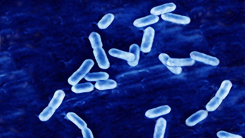 Protect Yourself: Tips to Prevent Listeria Outbreak