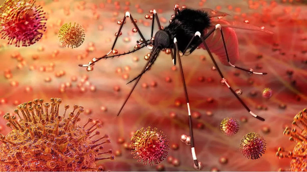 Preventing Zika Virus Spread: Tips for a Healthy Lifestyle