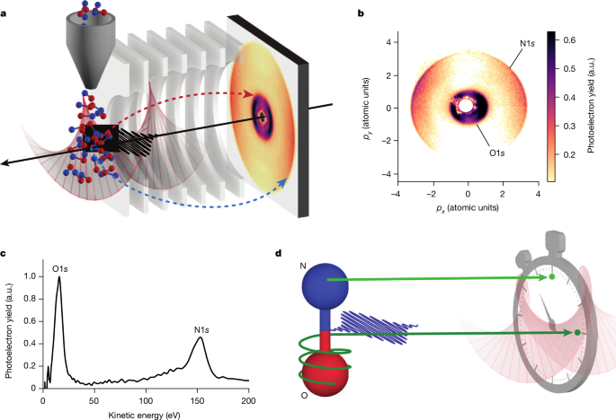 Attosecond Electron Dynamics: Unlock the Secrets of Photoionization