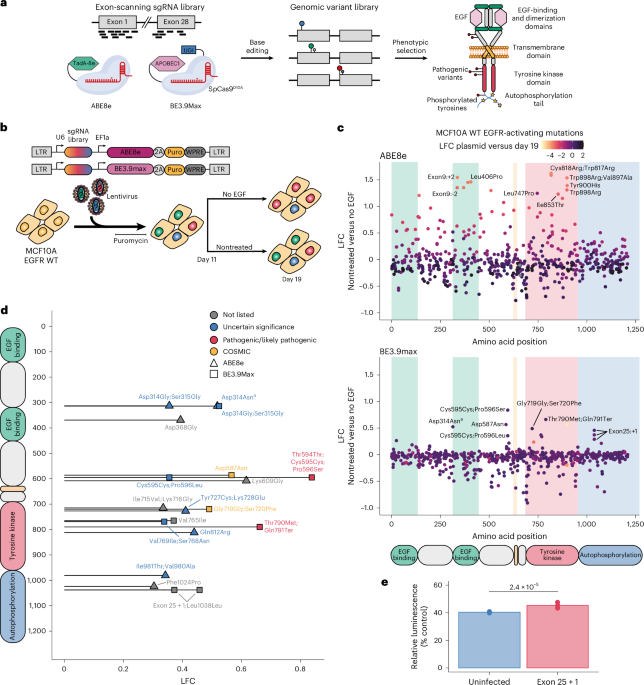 Mutation Studies: Tips for Cancer Treatment with Familial Editing