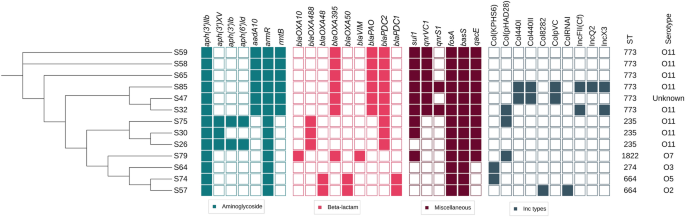 Unlocking Solutions for Pseudomonas aeruginosa Epidemic