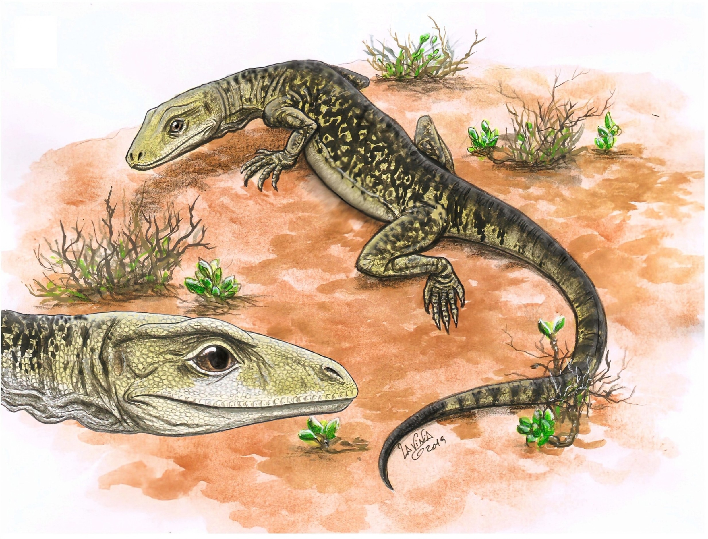 Lizard Fossil Unearthed: Latest Breakthrough in Reptile Evolution