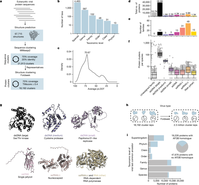 Protein Structure and Function: Discovering Viral Protein Secrets