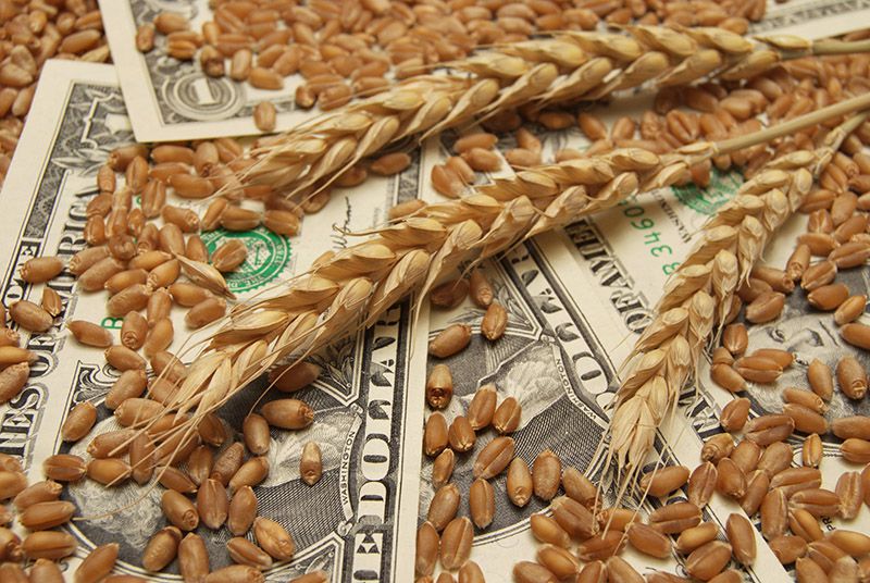 Wheat Futures Market Insights and Global Production Growth