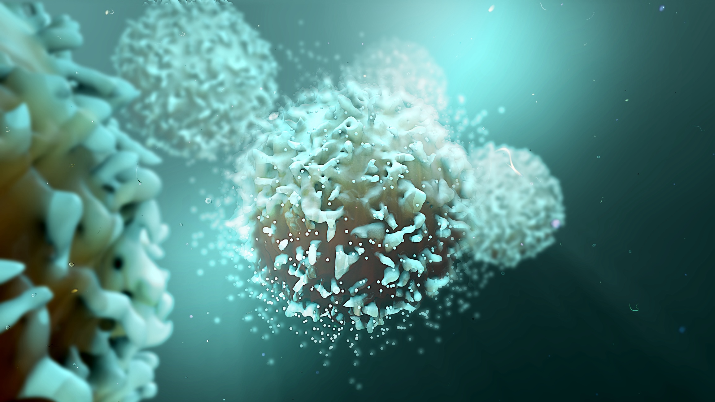 Immunotherapy Discovery: Tips for Enhancing T Cell Function