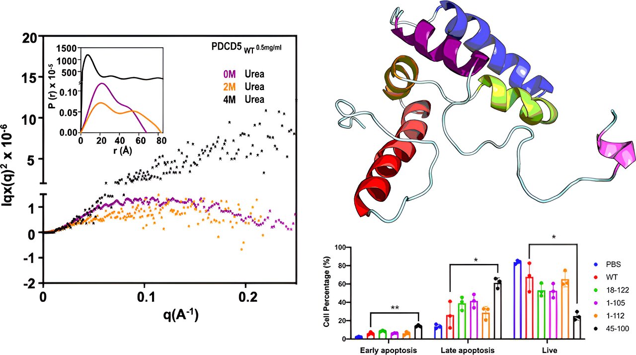 Protein Power: Unlock the Secrets of Parasitic Biology for Healthy Solutions