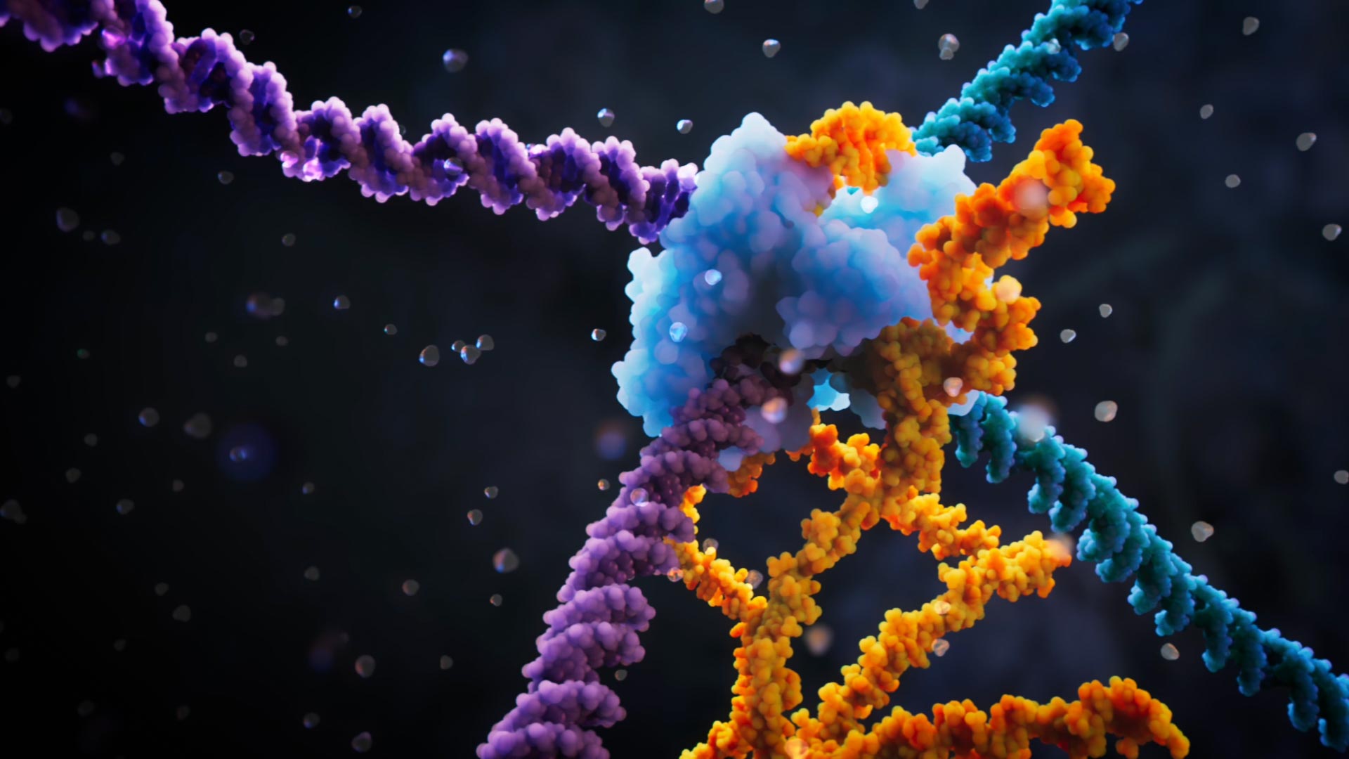 Unlock the Power of Genome Editing with Bridge RNA System