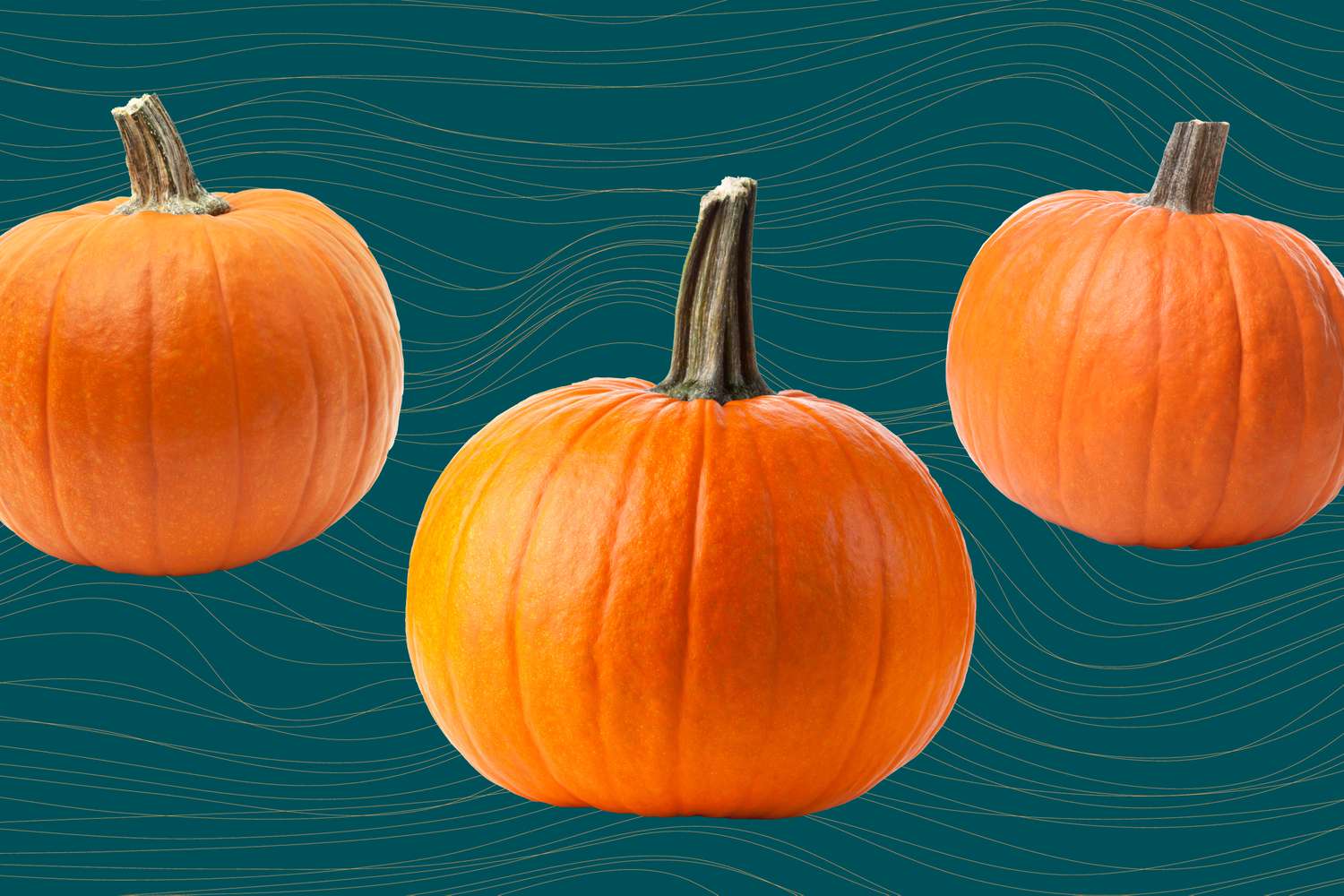 Pumpkin Wellness Tips for a Healthy Diet