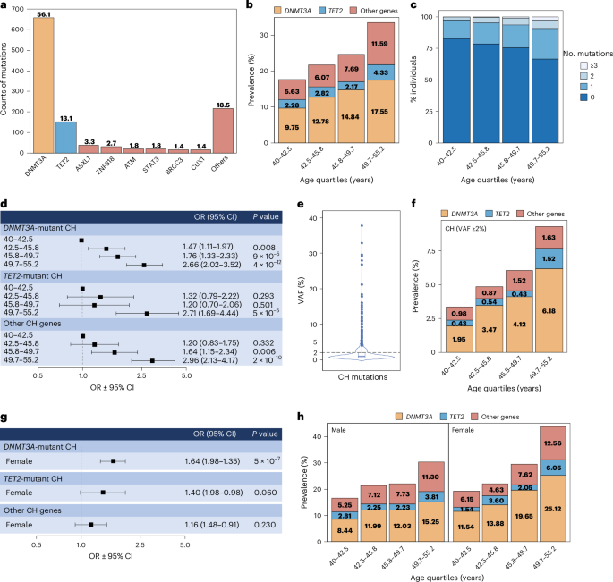 Risk Factors: Understanding Clonal Hematopoiesis in Cardiovascular Health