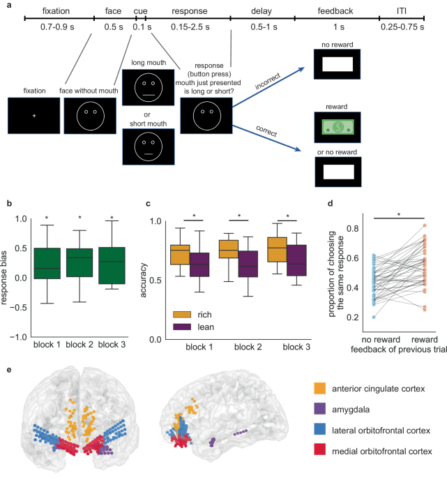 Discovering Brain Signals: Tips for Addressing Depression