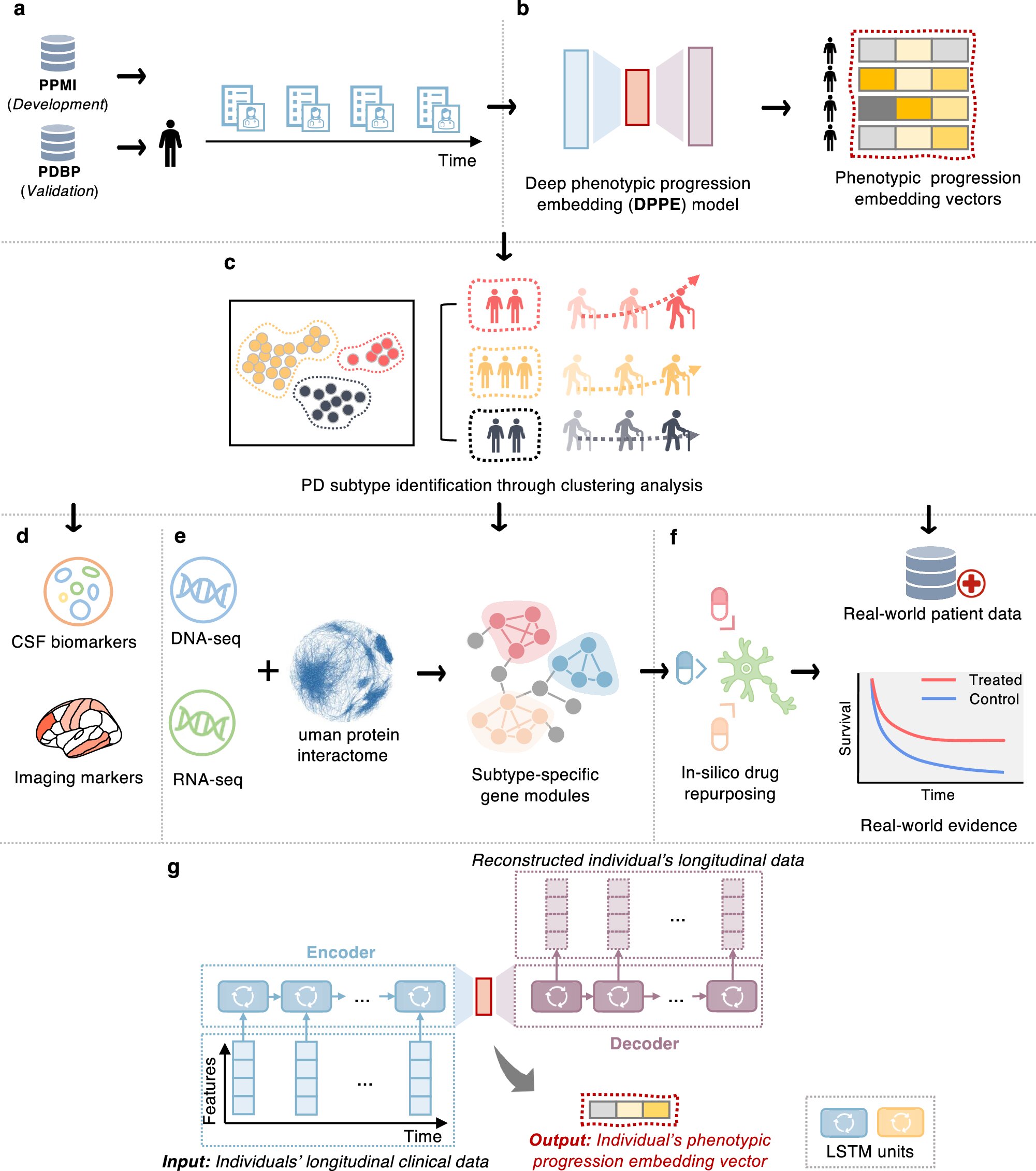 Unlocking Parkinson's Disease Subtypes: Tips for Personalized Treatment