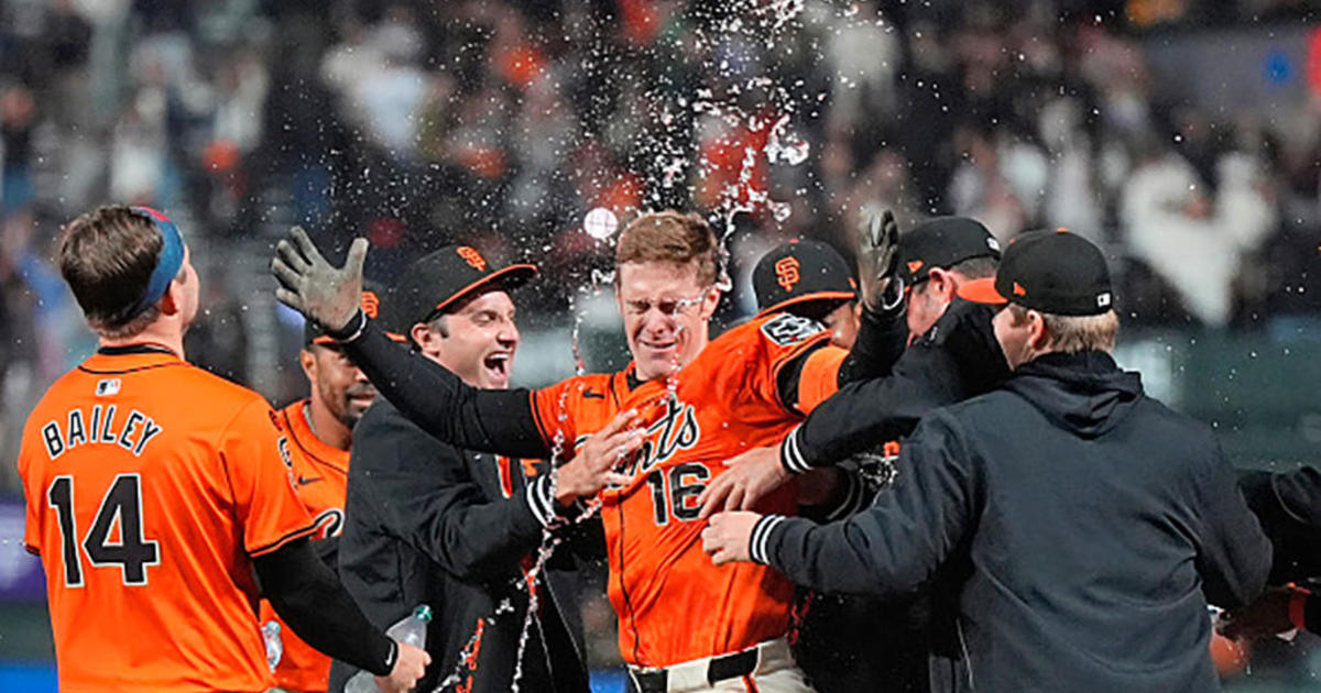 San Francisco Giants Walk-Off Victory with Mark Canha's Sacrifice Fly