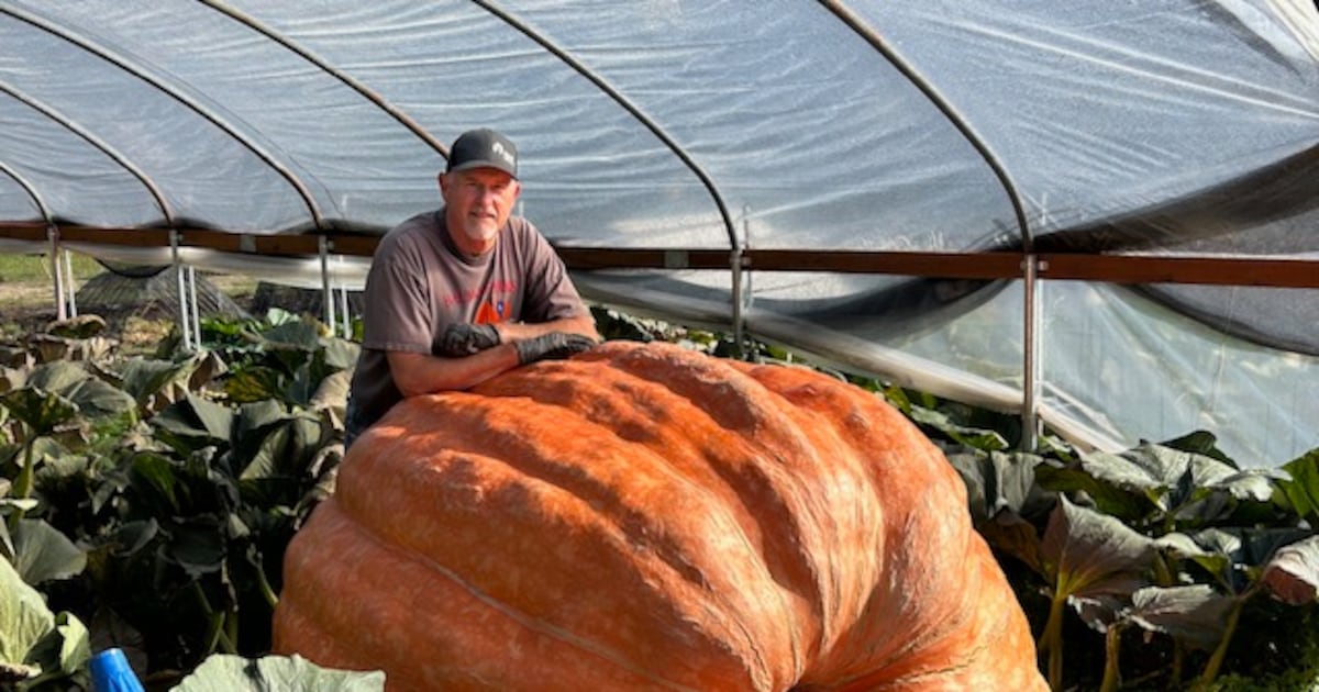 West Coast Giant Pumpkin Regatta Growth Strategies