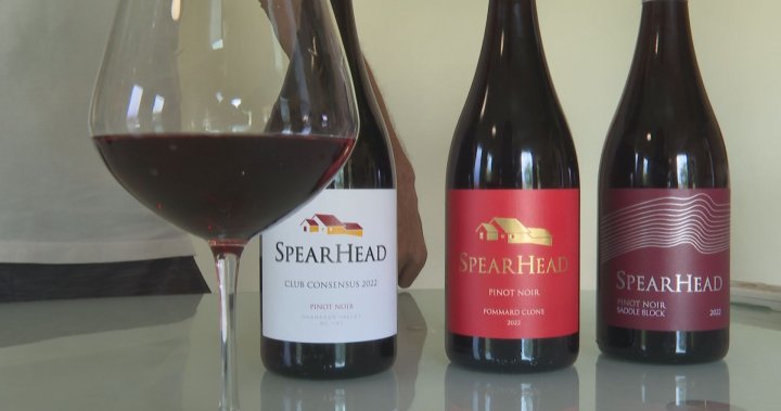 SpearHead Winery Shines in Pinot Noir Market