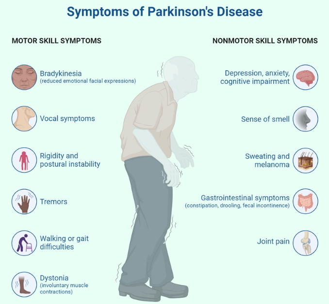 Mitochondrial Dynamics: The Solution for Parkinson's Disease