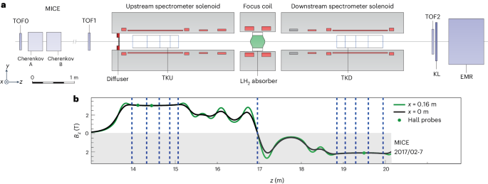 Innovation in Particle Physics: Muon Accelerators Unleashed