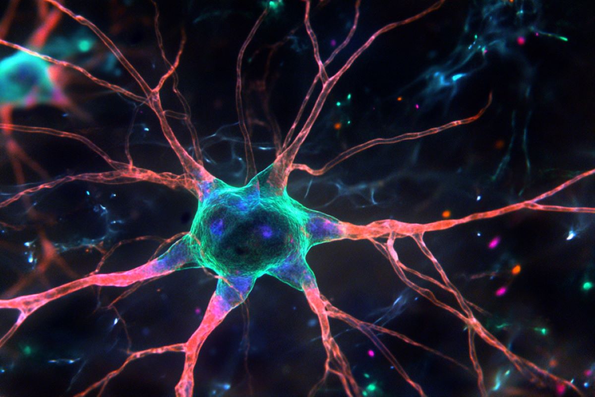 Astrocyte Transformation: Tips for Epigenetic Healing