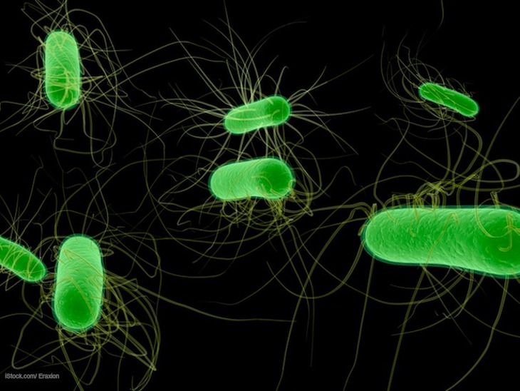 E. coli Outbreak Investigation and Prevention Insights