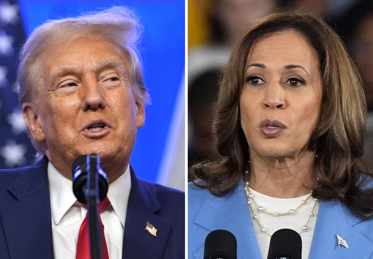 Kamala Harris and Donald Trump: Insights on Fiscal Policies and Banking Regulation