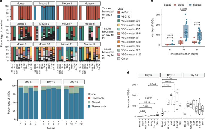 African Trypanosomiasis Healthy Solutions: Understanding Immune Response and Antigenic Variation