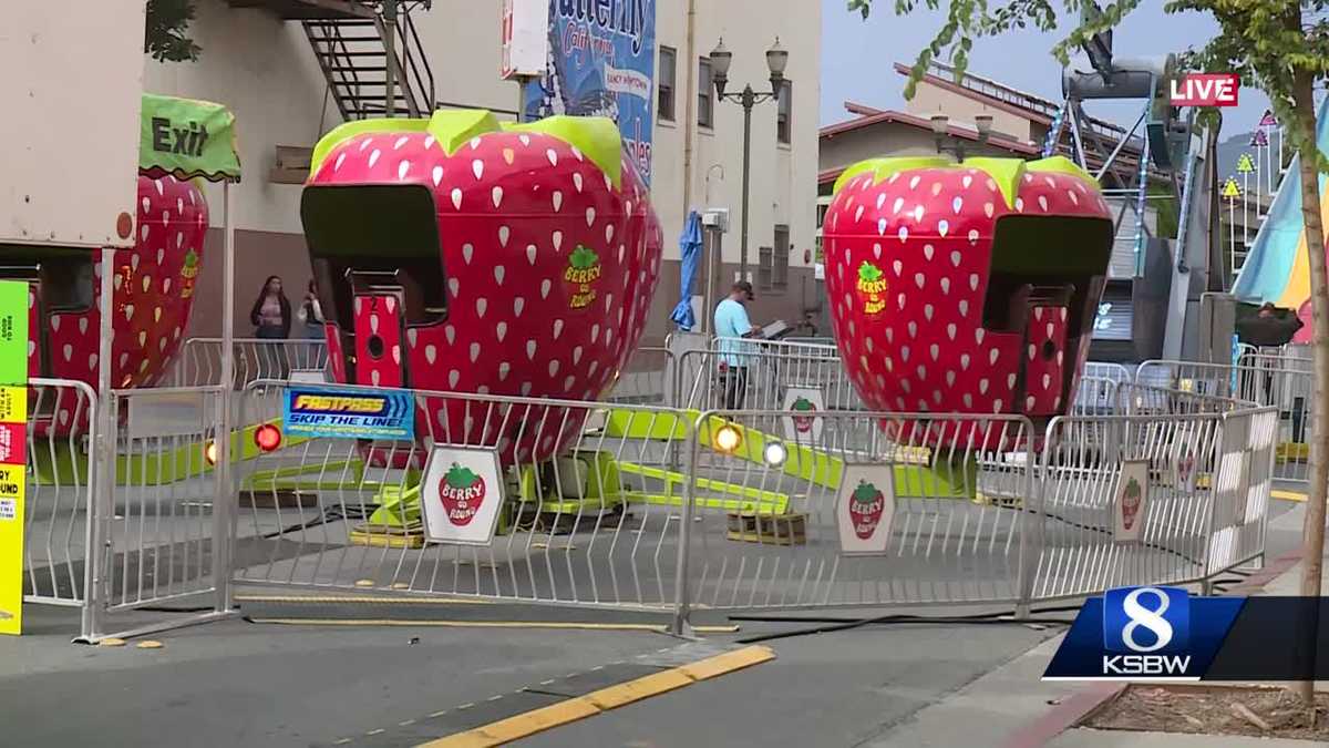 Watsonville Strawberry Festival Market Insights