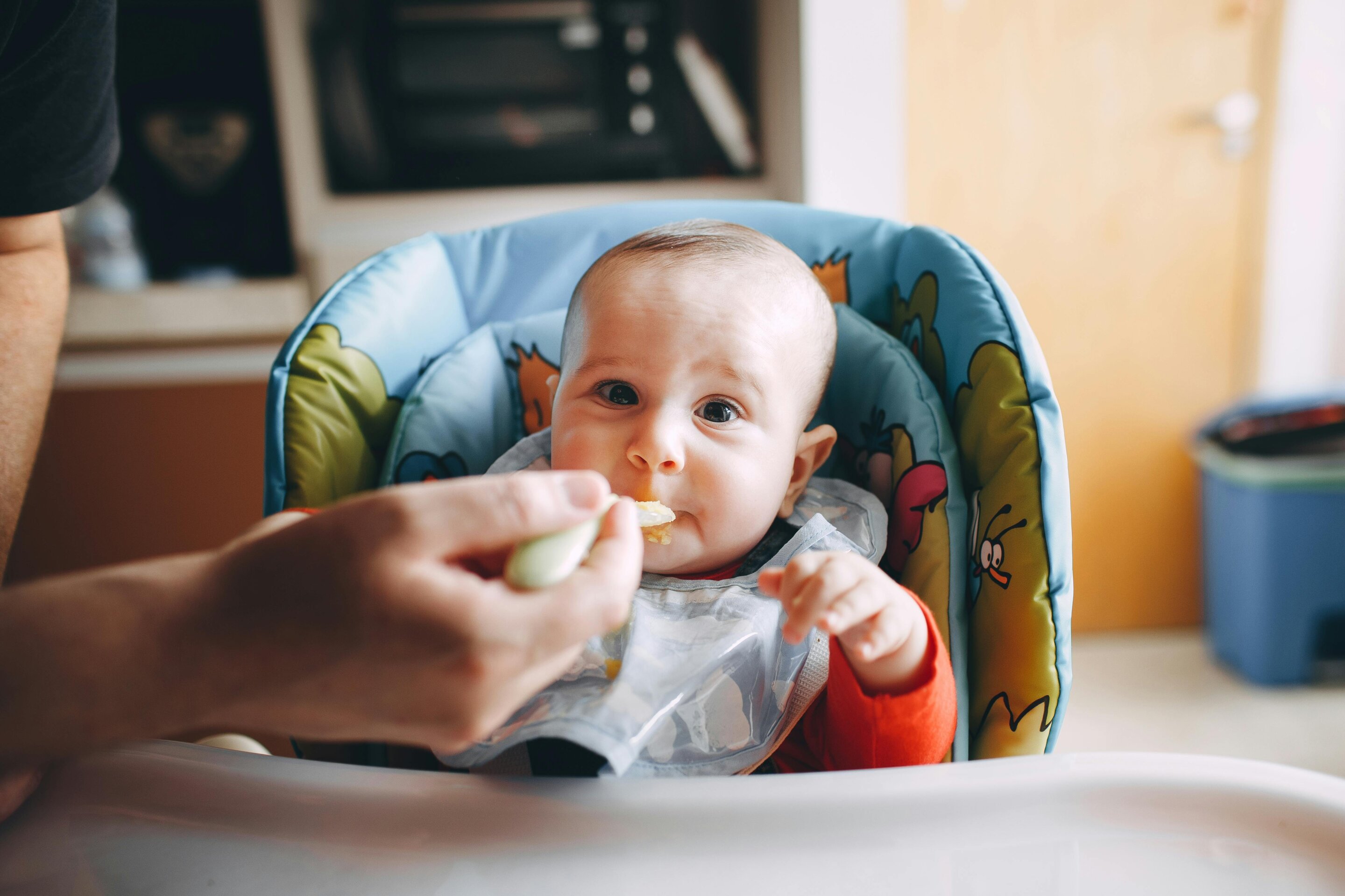 Healthy Baby Food: Tips for Nutritional Standard and Wellness