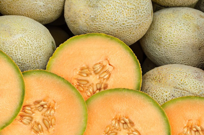 Product Recall Insights: Cantaloupe Market Strategies for Health Care