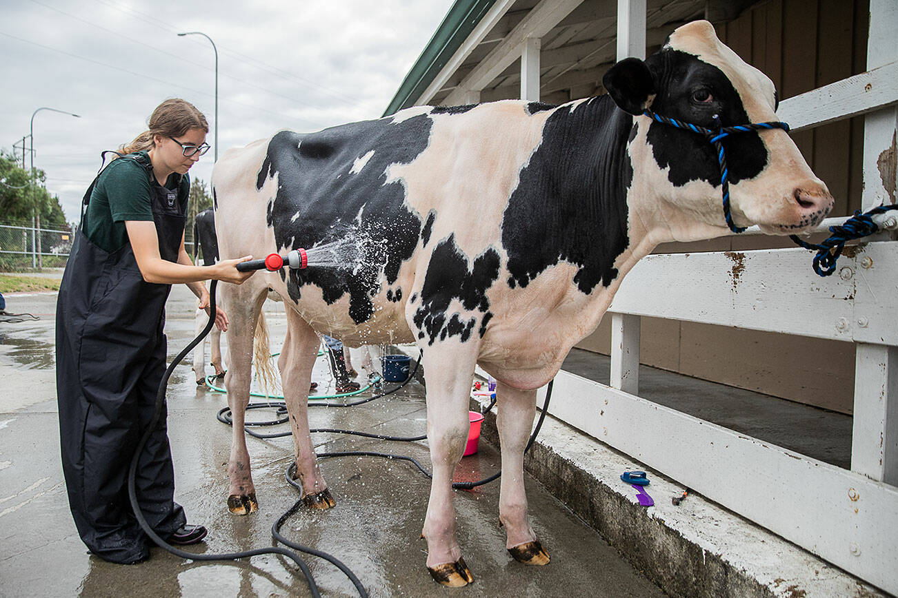 Evergreen State Fair Showcases Latest Agricultural Innovations