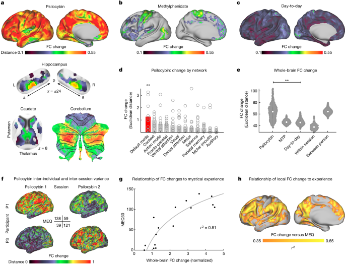 Unlocking Healthy Brain Changes with Psilocybin Tips