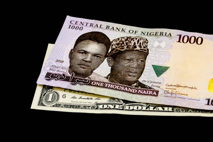 Enhanced Stability of Nigerian Naira in Forex Market Insights