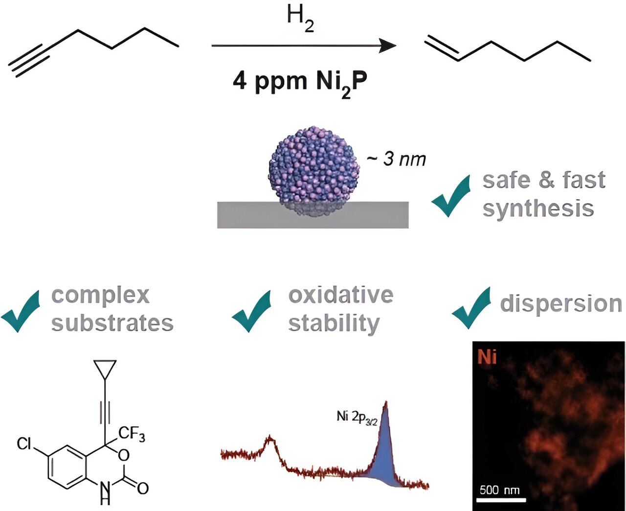 Innovative Nickel Phosphide Catalyst Launch