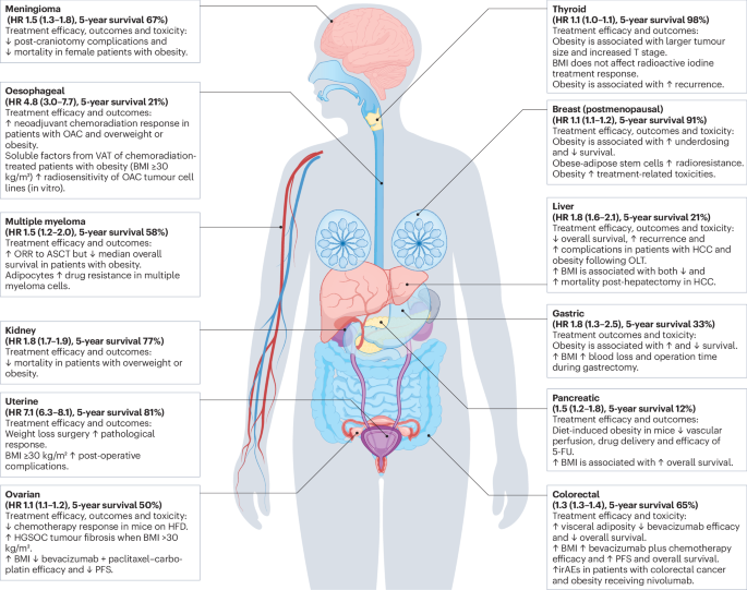 Obesity's Impact on Cancer Survivor: Tips for Wellness and Prevention