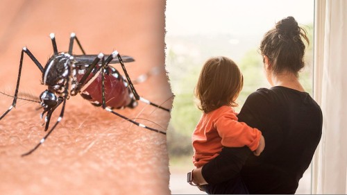 Triple E Lockdown Tips: Massachusetts Towns Combat Mosquito-Borne Disease