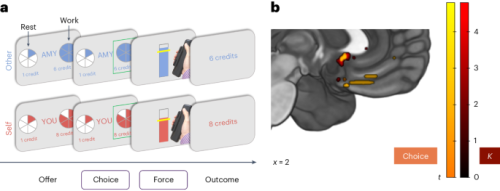 The Impact of Brain Damage on Altruistic Behavior: A Research Study