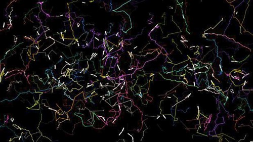 Bacteria Breakthrough: Unveiling Spatial Detection Ability