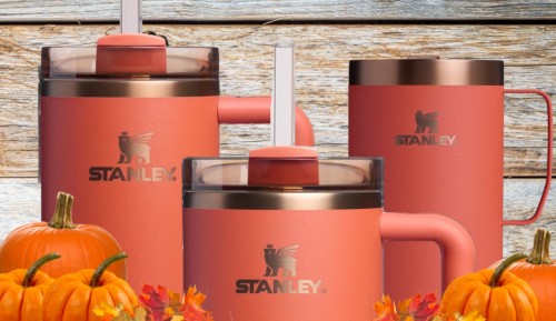 Stanley Pumpkin Spice Collection: Market Insights and Investment Strategies