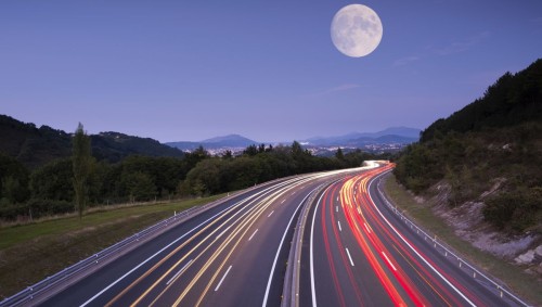 Full Moon Impact on Wildlife-Vehicle Collisions: Tips for Safe Driving