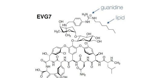 Antibiotic Solution: EVG7 Development Tips