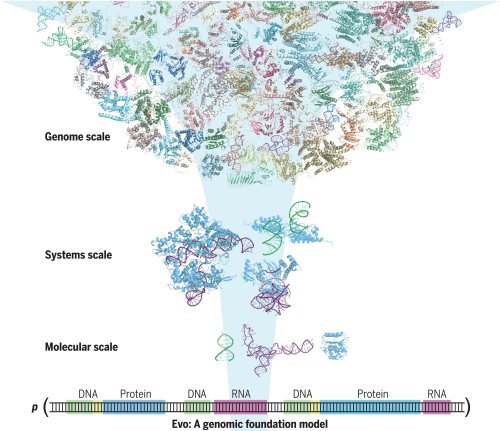 Artificial Intelligence Revolution in Genetics: Unlocking the Potential of Evo for Familial Research