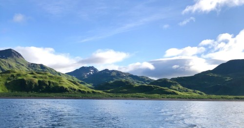 Latest Update: Entangled Humpback Whale Spotted in Unalaska Bay