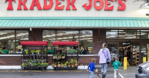 Trader Joe's Miniskirt Canvas Carryall Bag Market Insights