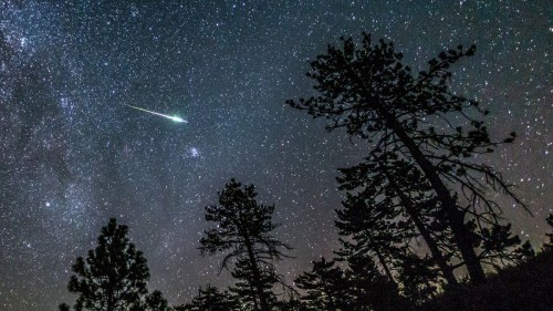 Perseids Meteor Shower: Capture the Best of August 2024