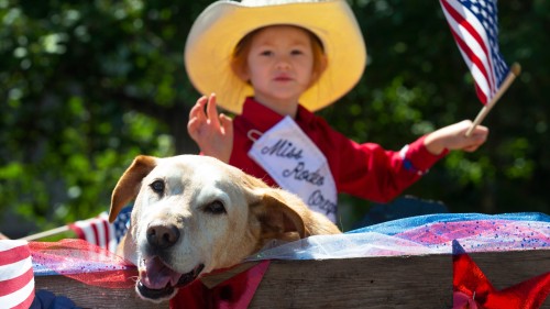 Ultimate Independence Day Festivities in Lane County 2024