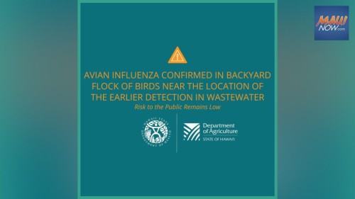 Avian Influenza Outbreak in Hawaii: Tips for Prevention